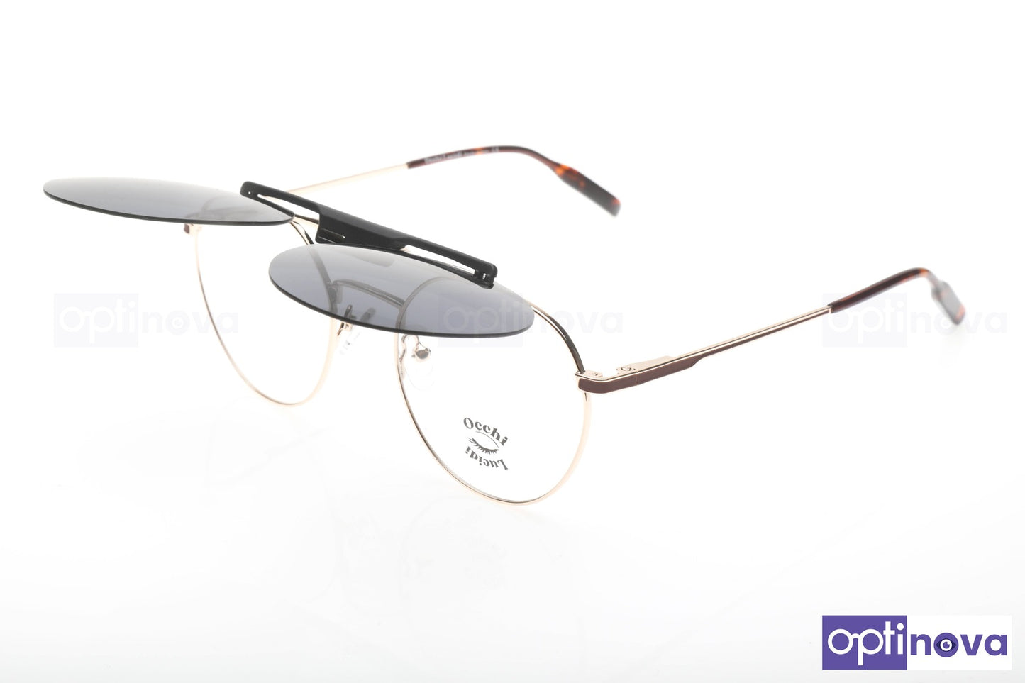clip on eyeglasses