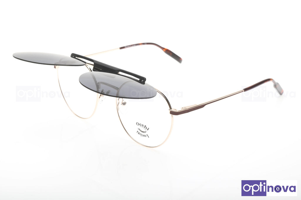 clip on eyeglasses